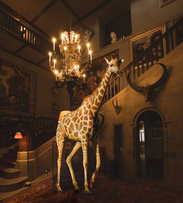 GIRAFFE & CHANDELIER (LARGE) Bestseller, Limited Edition of 5 thumb