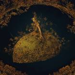 Collection Gilded Age
