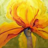 Solar Flare by Ginny Blakeslee Breen