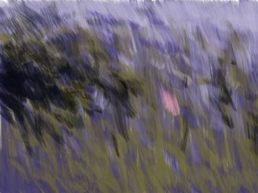 Print of Abstract Expressionism Nature Digital by Ivonna Zile