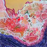 World Within Petals by Anna Bergin