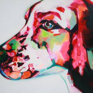 Collection DOGS ONLY