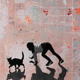 STRAY CATS by db Waterman