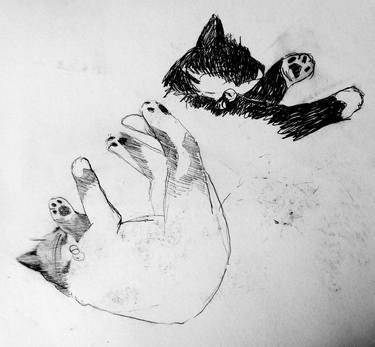 Print of Realism Animal Drawings by Adriana Eyzaguirre