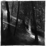 Quand le jour s'éteint by Magdalena Lamri