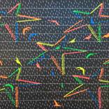 Rain with Birds in Outer Space by Patrick Harris