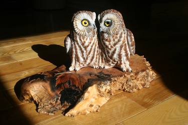 Northern Saw-Whet Owls thumb
