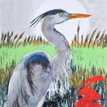 Heron Portrait by Peter McQuillan