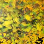 Abstract Autumn Colour by Peter McQuillan