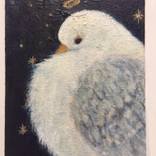 The Fledgling by Val Wolstenholme Clay