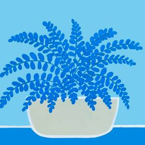Blue Fern