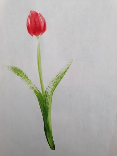 Tulip thumb