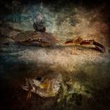 Sergent gueteur sur les plaines de la bataille de 2054 by gael HOLLARD