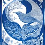 Biomimicry by Karen Fiorito