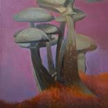 Mushroom Fields by Neal Burns