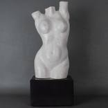 Torso by Leslie Dycke