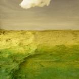 The Fell by Julia Breit
