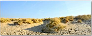 Wooden outdoor railing behind North Sea dunes thumb