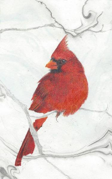 Cardinal in Winter thumb