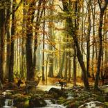 Autumn landscape by Alexey Golovin