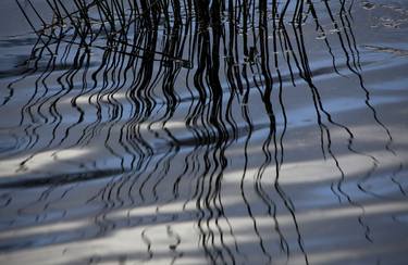 Print of Abstract Nature Photography by Geoff Dunlop