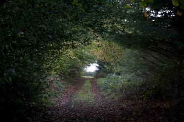 Print of Abstract Nature Photography by Geoff Dunlop