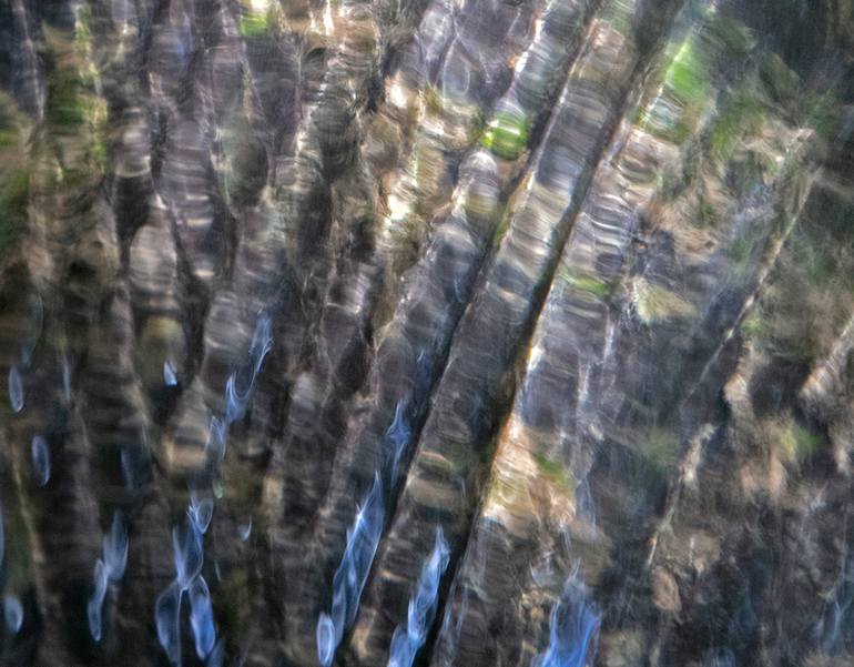 Original Other Abstract Photography by Geoff Dunlop