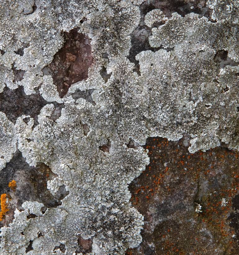 Original Other Abstract Photography by Geoff Dunlop
