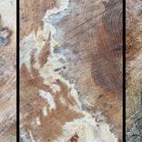 FALLEN Wells 22 Triptych 1 by Geoff Dunlop