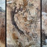 FALLEN Wells 22 Triptych 2 by Geoff Dunlop
