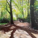 Parkhurst Forest by Kitty Cooper