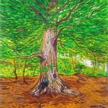 Summer Tree by Kitty Cooper