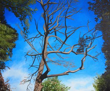 Original Fine Art Tree Paintings by Kitty Cooper