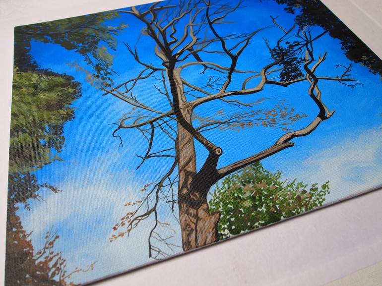 Original Fine Art Tree Painting by Kitty Cooper