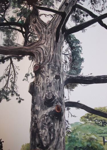 Original Figurative Tree Paintings by Kitty Cooper