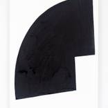 Radius #9 by Sasha Sime