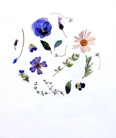 Original Nature Paintings by Lara Cobden