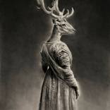 Stag Queen by Jono Dry