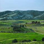 Winter, Carmel Mountains by Zohar Flax