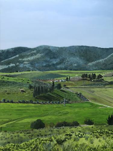 Original Landscape Paintings by Zohar Flax