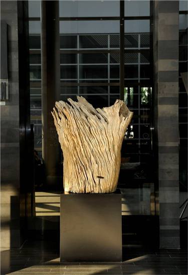 Original Abstract Nature Sculpture by Michael Deloffre