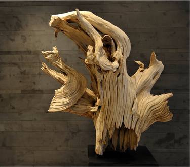 Original Abstract Nature Sculpture by Michael Deloffre