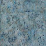 Collection Biomorphism