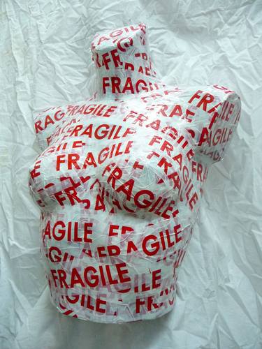 the fragile woman / la femme fragile thumb