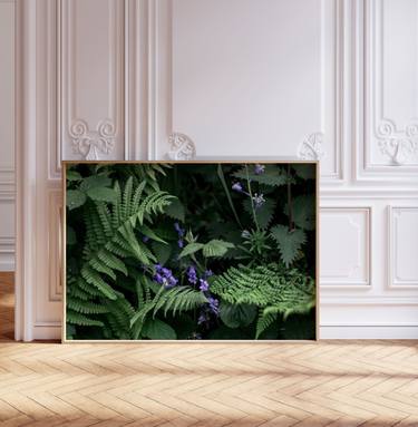 Original Contemporary Botanic Photography by Rossana Novella