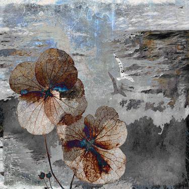 Saatchi Art Artist faya lloyd; Photography, “tempest - Limited Edition 1 of 25” #art