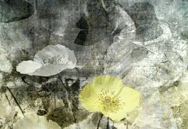 Saatchi Art Artist faya lloyd; Photography, “sunlight - Limited Edition 1 of 25” #art