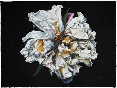 Original Realism Floral Paintings by Hannes Möller