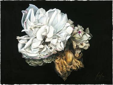 Original Realism Floral Paintings by Hannes Möller