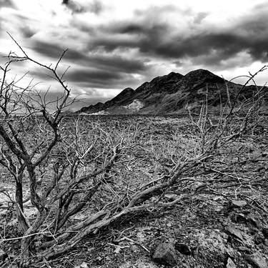 Timna - Tribute to Ansel Adams - Limited Edition of 25 thumb